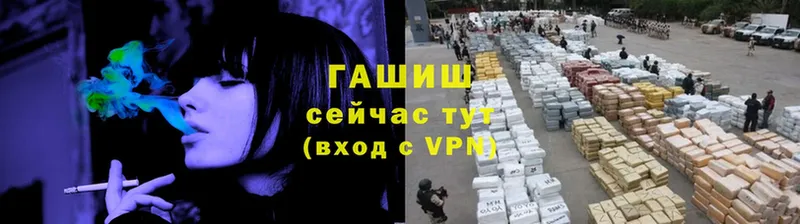 Гашиш VHQ  MEGA как войти  Будённовск  где купить  